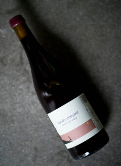 KONDO VINEYARD(コンドウ・ヴィンヤード）PINOT NOIR（ピノ・ノワール）2022（2022ヴィンテージ）【SOLD OUT】